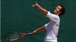 Murray lo ngại Gasquet